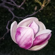 photographer_image