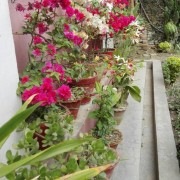 photographer_image
