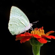 photographer_image