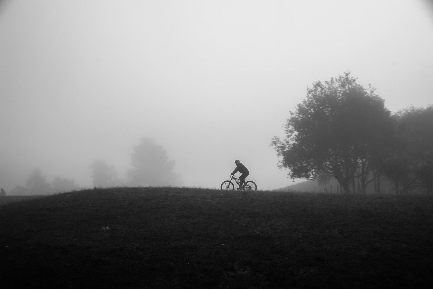 profile_banner_image