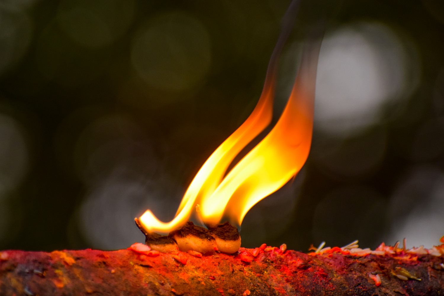 profile_banner_image