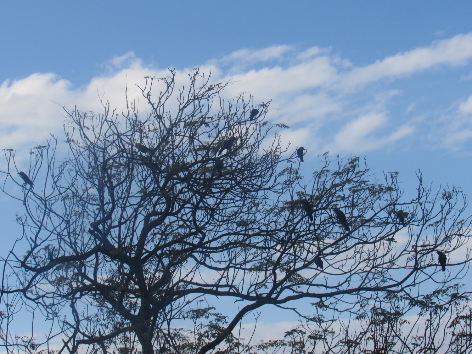 profile_banner_image