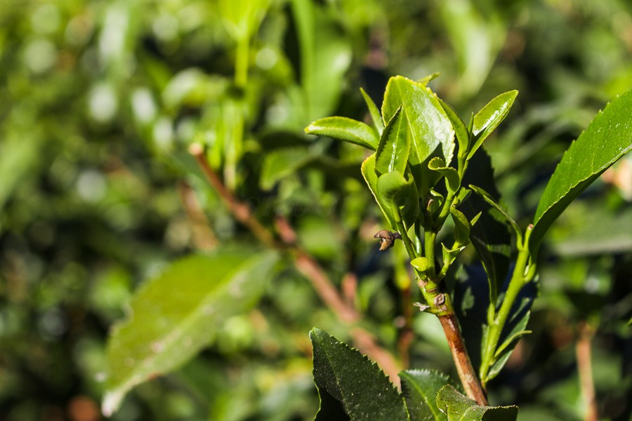 profile_banner_image