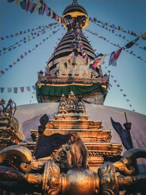 download_img