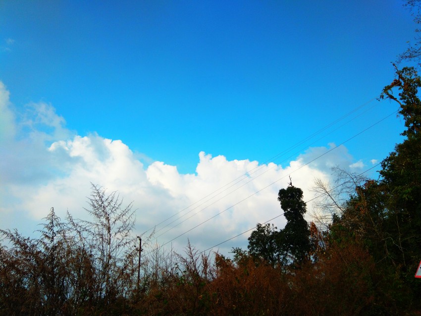 download_img