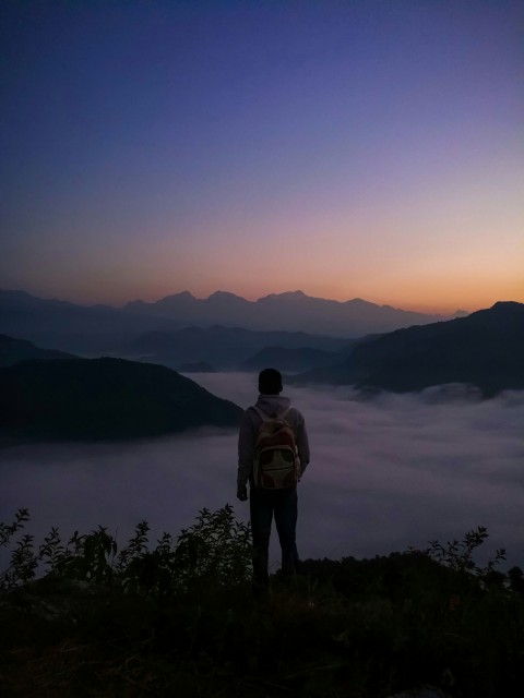 download_img