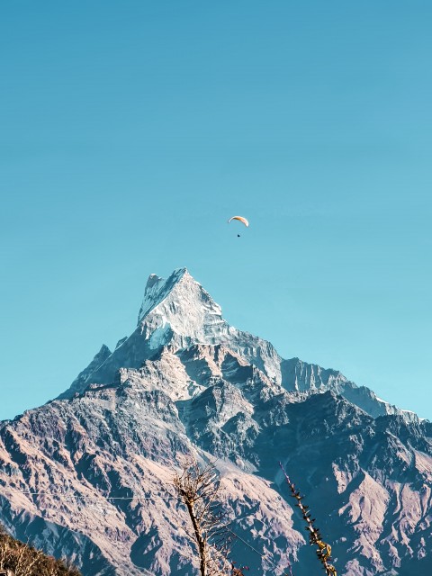 download_img